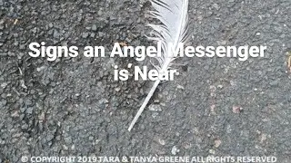 Signs an Angel Messenger is Near