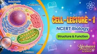 कोशिका (Cell) Biology MCQ | NCERT | BPSC UPSC SSC Most Important Questions