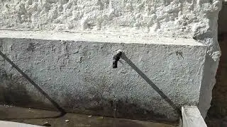 La Fuensanta, El Burgo (Málaga) 