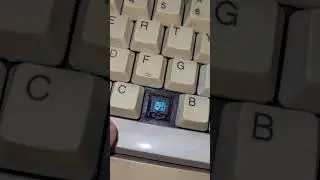 TVS Gold Keyboard with Cherry MX Blue Keys #shorts #keyboard