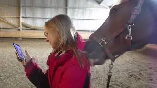 Лошадь - массажист😂 | Barcelona - equestrian Лошадь лижет