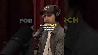 How Casinos Study Human Behavior | JRE #2039