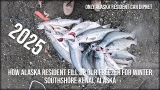HOW ALASKA RESIDENT FILL UP OUR FREEZER FOR WINTER !! 2025