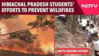 Himachal News | Himachal Pradesh School Students' Efforts To Prevent Wildfires: NDTV Ground Report