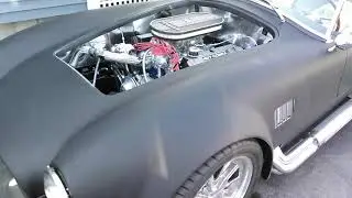 Shell Valley Cobra