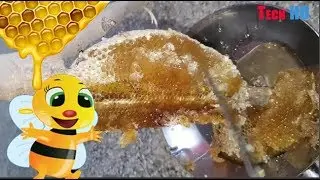 Tech HD | How honey harvests amazing inventions ▶ 16