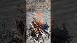 Сжёг утку с паразитами.