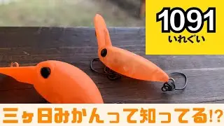 エリアトラウト爆釣カラー紹介！1091の三ヶ日みかんって知ってる⁉︎