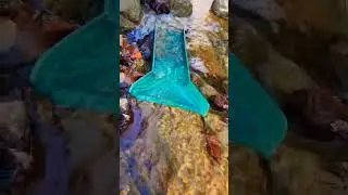 Testing Dream Mat Mini Gold Sluice #gold #goldsluice #sluice #goldprospecting #findinggold #dreammat