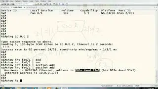 mac binding debug arp cisco switch #viral @Cisco
