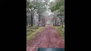 Dandeli pansoli jungle safari..heaven in forest🔥