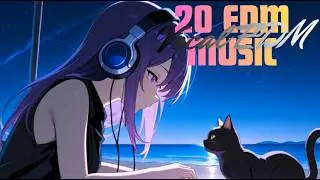 [EN] 🎧 Female Vocal EDM Pop Collection (1H) |Dynamic Builds & Confident Melodies ✨