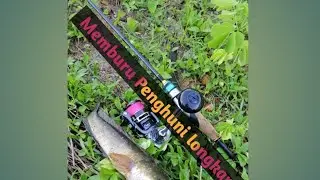 Haruan longkang on #ultralight