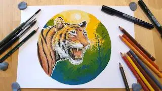 Ink and gouache illustration full process: Tiger