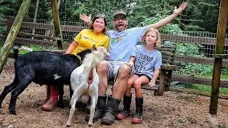 The EPIC Goat Pen Is Finished!! (The Buck Palace)
