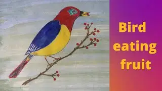 Bird eating fruit
