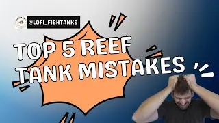 5 Reef Tank Mistakes That Could Cost You BIG Beginner&rsquo;s Guide