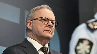 &lsquo;Tremendous dent&rsquo;: Albanese to lose swing voters over Bondi response
