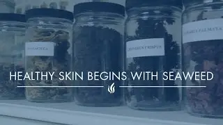 Repêchage - Healthy Skin Begins With Seaweed | Natural Skin Care