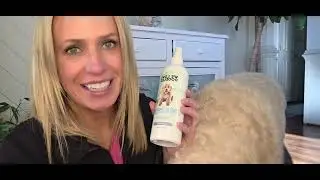 We Love Doodles Dog Detangler Spray Leave-in Conditioner for Dogs Dog Detangling Spray - Dematting