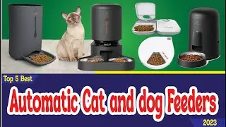 Top 5 Best Automatic Cat and dog Feeders in 2023