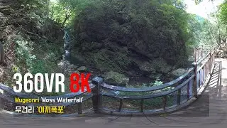 360VR [8K] Mugeonri Moss Waterfall 무건리 이끼폭포
