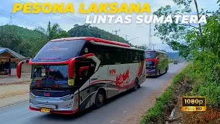 Aksi Bus Lintas Sumatera di Depan RM Palapa