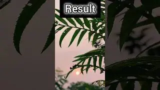 mobile photography tips with grid lines|Basic tips for mobile photography#shorts#photographytech