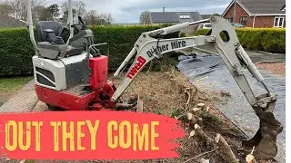 Removing Hedge Roots / Stumps with a mini Excavator/Digger & Ripper Tooth