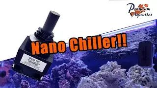 Nova Tec Ice Probe - Nano Chiller!