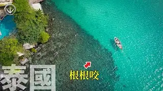 『泰國3』根釣天堂就在這！木船釣魚初體驗！2小時咬訊不間斷 #鵝大人 #狗骨島 #泰國