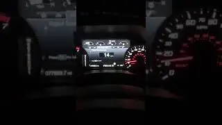Raptor Rattle Noise 2018