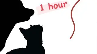CAT GAMES - STRING STRING THING 1HOUR ENCORE (FOR CATS ONLY)