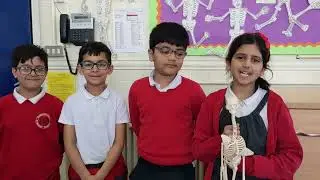 3I Class Assembly