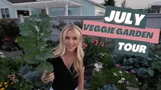 Backyard Vegetable Garden Tour in July 2024 - raised veggie beds