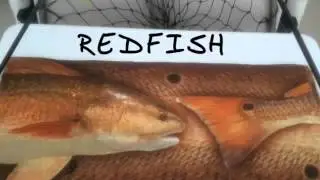 UV Buff Fishing