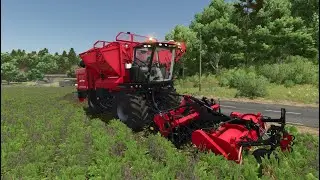 wykopki buraka czerwonego #98 hutan pantai #farmingsimulator25 #fs25