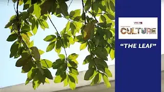 Vision Petron 2016 | Videography | Consolation, The Leaf