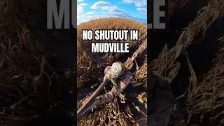 Best SPORT for 360 camera footage = DUCK hunting #waterfowlhunting