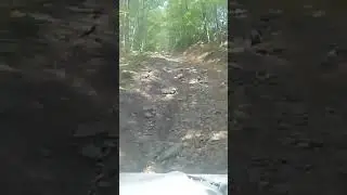 #cfmoto #zforce #offroading #offroad #4x4offroad #4x4offroading #aoaa #offroad4x4 #uphilloffroad
