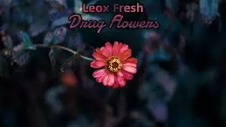 Leox Fresh - Drug Flowers (Audio)