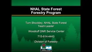 Northern Highland-American Legion State Forest; Forestry Program