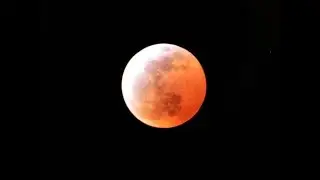 De Frente Com O Lobisomem (Relato narrado no local da apari&ccedil;&atilde;o) especial lua de sangue #relato 48
