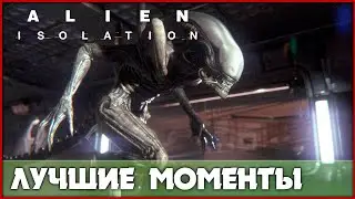 Лучшие моменты с прохождения [Alien: Isolation]