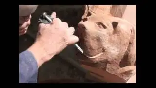 Growing Grotesque