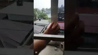 ssc পরীক্ষার্থীদের চোখের পানি😁 #education #funny #governmentexamnews #freefire #freefireshorts