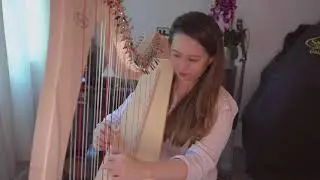Salvi Gaia Harp progress tune of Sally Gardens
