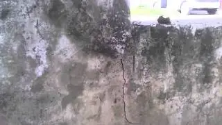Spice Mi-410 Video Sample 3