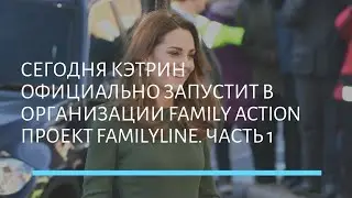 👑  Сегодня Кэтрин официально запустит в организации Family Action проект FamilyLine. ЧАСТЬ 1