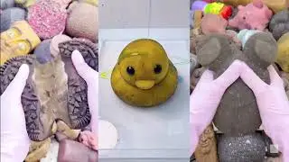CLEANING SQUISHY ASMR (part#14) #fufu #toys #cartoon #oddlysatisfying #funny #shorts #squishytoys
